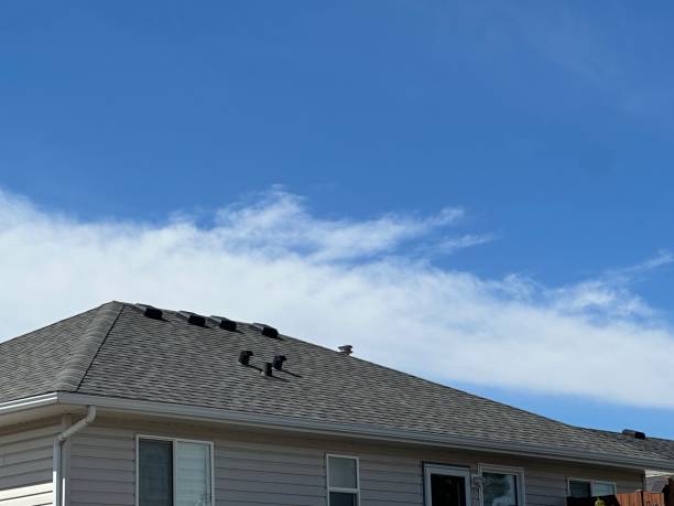 Best Rubber Roofing (EPDM, TPO)  in Stuart, IA